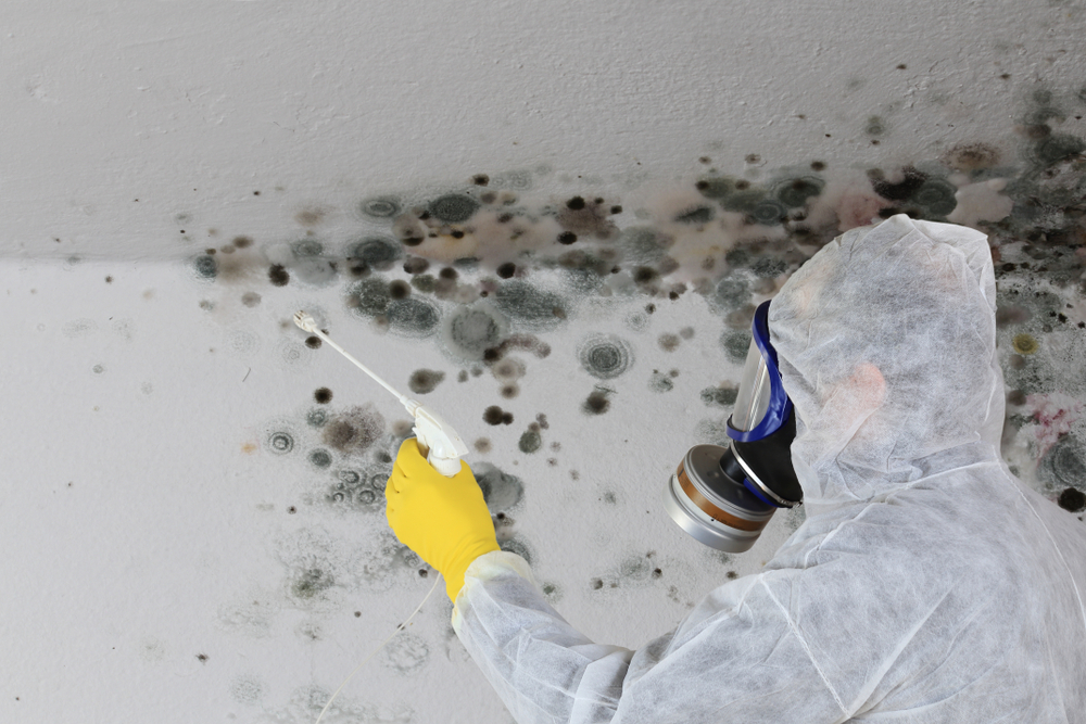 mold remediation and cleanup services in Denton TX by Regent Restoration