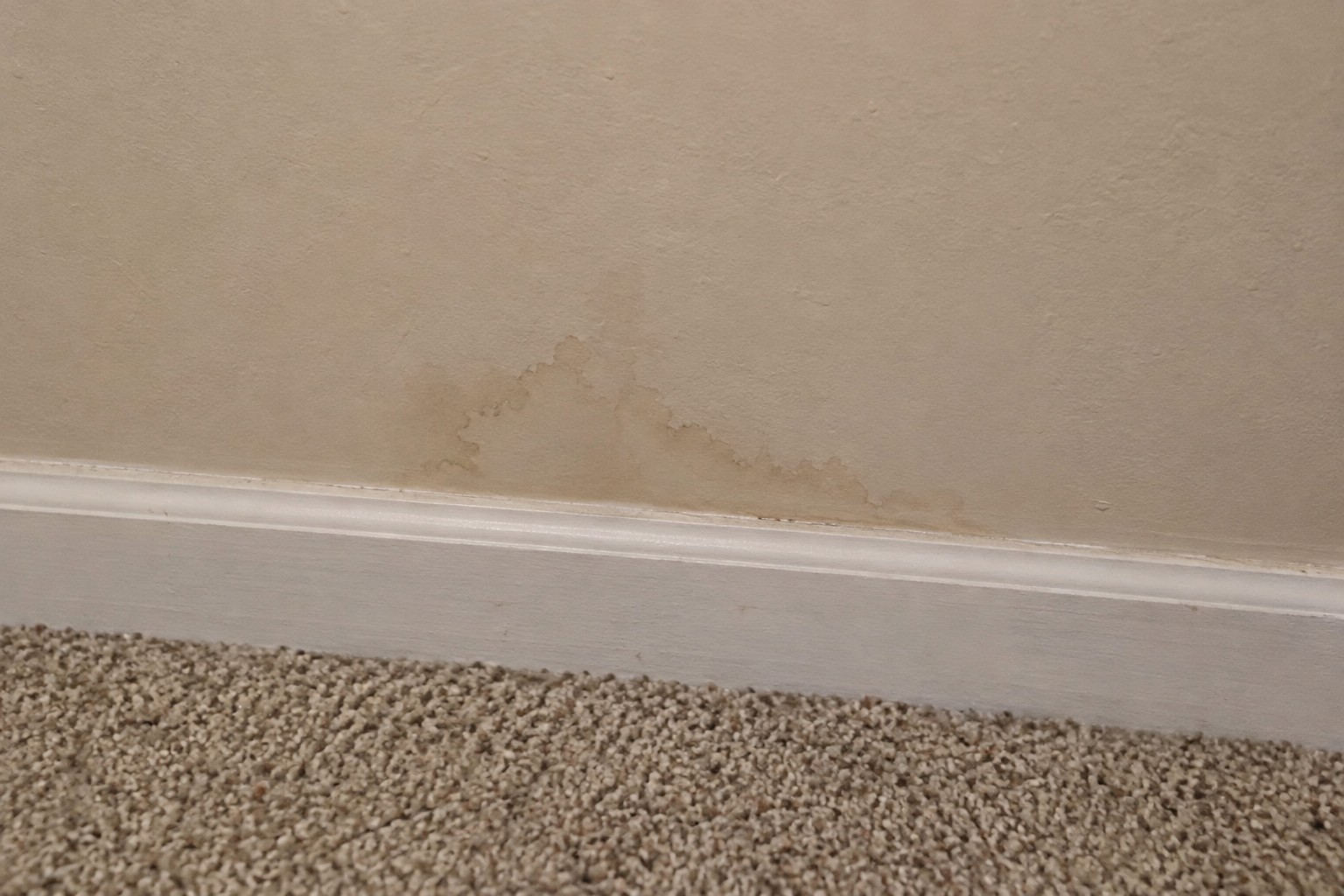 What to Document Before the Insurance Adjuster Arrives After Water Damage in Lewisville What to Document Before the Insurance Adjuster Arrives After Water Damage in Lewisville